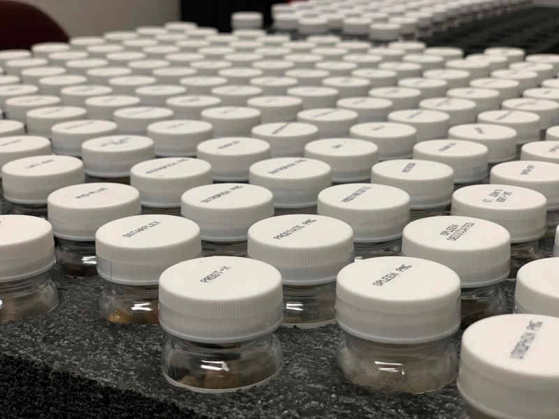 Rows of labeled Standard Process test vials laid out on a counter