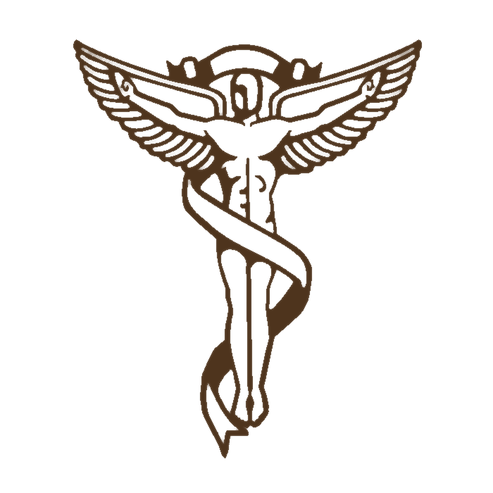 Caduceus logo for Mary Lynn Yothers, D.C.